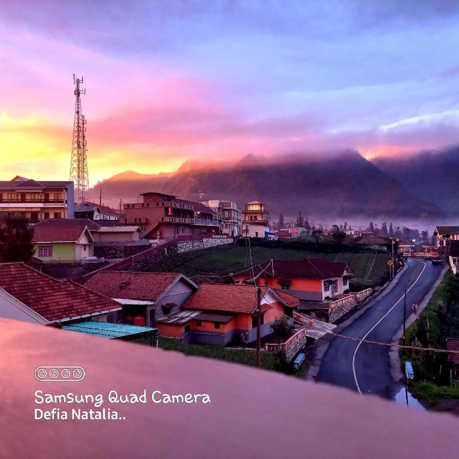 Bromo Deddy Homestay Exterior photo