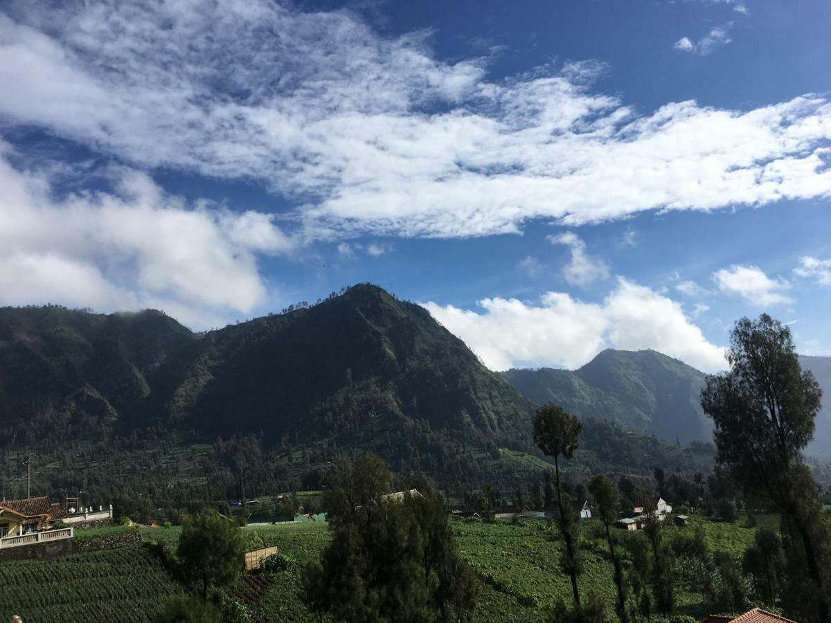 Bromo Deddy Homestay Exterior photo