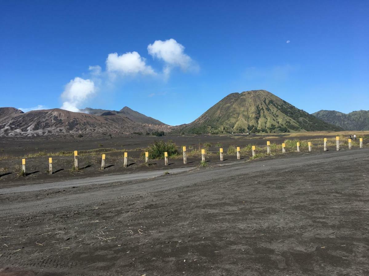 Bromo Deddy Homestay Exterior photo